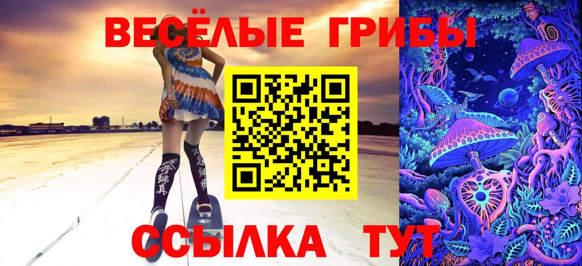 где можно купить наркотик  Псилоцибиновые грибы мухоморы  Вход с VPN  Улан-Удэ 